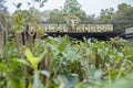 Walt Disney World Animal Kingdom Entrance Signage Royalty Free Stock Photo