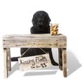 Kissing Booth - Dante, Black English Lab