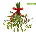 Kissing bough, christmas decoration. Mistletoe 3d realistic vector icon