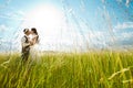 Kissing bride and groom in sunny grass Royalty Free Stock Photo