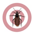 Kissing Bug, Chagas Disease Royalty Free Stock Photo