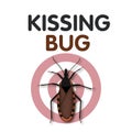Kissing Bug, Chagas Disease Royalty Free Stock Photo