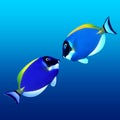 Kissing Colorful Fishes Royalty Free Stock Photo