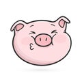 Kissing emoticon icon. Emoji pig.