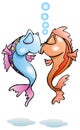 Kissing fish on isolated white background Royalty Free Stock Photo