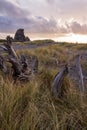 Kissing Rock in Gold Beach Oregon Royalty Free Stock Photo