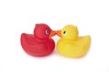 Kissing rubber ducky's