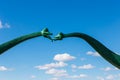 Kissing Sauropods bridge the road outside Erenhot