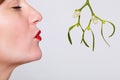 Kissing under the mistletoe Royalty Free Stock Photo