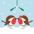 Kissing under the mistletoe