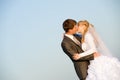 Kissing wedding pair Royalty Free Stock Photo