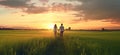 Kissing woman man together two sunset portrait nature summer romance husband field love couple romantic walking