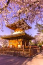 Kitain temple in springtime at Kawagoe town saitama in Japan Royalty Free Stock Photo