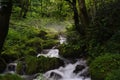 Kitanizawa stream at the foot of Daisen mountain in Tottori, Japan Royalty Free Stock Photo