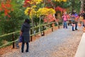 Kitano Tenmangu gardens in Kyoto Royalty Free Stock Photo