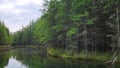 Kitch-Iti-Kipi. The largest natural, freshwater spring in Michigan, USA.