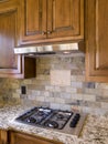 Kitchen cooktop with hood and cabinets