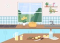 Kitchen counter flat color vector illustration