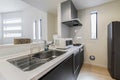Kitchen counters, sinks, and hoods
