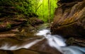 Kitchen Creek cascades downstream through Glen Leigh, in Ricketts Glen State Park