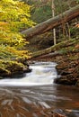 Kitchen Creek, Rickett's Glen State Park