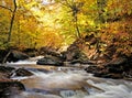 Kitchen Creek, Rickett's Glen State Park