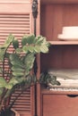 Kitchen cupboard with disheslike plates, tableclothes and glasses