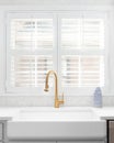 A kitchen detail shot with a gold faucet and farmhouse sink.