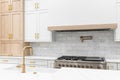 A kitchen detail shot with a gold faucet and white and wood cabinets. Royalty Free Stock Photo