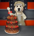 Dog labrador cooks truffle cake