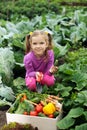 In the kitchen-garden