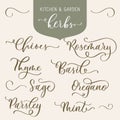 Kitchen and garden herbs. Set of lettering inscription aromatic and medicinal herb Botanical design element. Perfect for