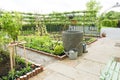 Kitchen Garden surrounded by espalier with fruits