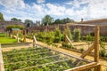 Kitchen garden