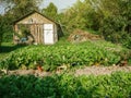 Kitchen garden or potager with garden house and rows of organic Royalty Free Stock Photo