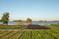 Kitchen garden, potager, vegetable garden, at the bank of a small lake in summer. Royalty Free Stock Photo