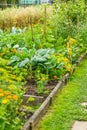 Kitchen garden with vegetables, herbage and flowers