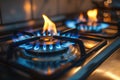 Gas cooker with burning flames of propane gas. Industrial resources and economy concept