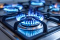 Kitchen gas stove burner with blue flame. Gas cooker with burning flames of propane gas. Global gas crisis and price rise Royalty Free Stock Photo