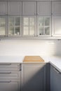 Kitchen with grey cupboards