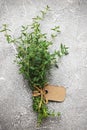 Kitchen herb of green thyme Royalty Free Stock Photo