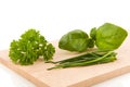 Kitchen herbs Royalty Free Stock Photo