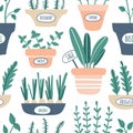 Kitchen herbs seamless pattern. Green growing sage, rosemary, mint, thyme, arugula, onion with labels. Culinary herbs in pots. Royalty Free Stock Photo