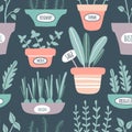 Kitchen herbs seamless pattern Royalty Free Stock Photo