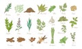 Kitchen herbs and spices, vector doodle sketch Royalty Free Stock Photo