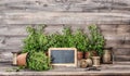 Kitchen herbs with vintage home decorations. Food ingredients Royalty Free Stock Photo