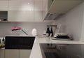 Kitchen interior in bright colors in an ultramodern style