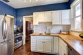 Kitchen interior in bright navy and white colors