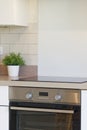 Kitchen interior neutral colour style and white plant pot