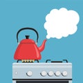 Kitchen kettle on the gas stove